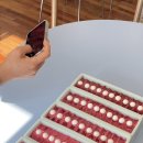 면북초등학교 이미지