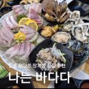 나는바다다장기점 | 나는바다다 김포장기점 대방어+해산물 모듬 추천 후기