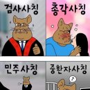 전라도장성