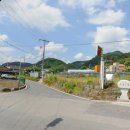 수영1리 이미지