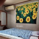 오아시스여관 이미지