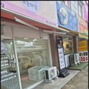 뽀송하댕 | 용인애견미용실 뽀송하댕 방문 후기 세심한 관리에 만족했어요