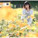 성내충인동 행정복지센터 이미지