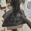 일라헤어살롱 | 일라헤어 신영통미용실 푸석한 손상모관리 나노힐클리닉후기
