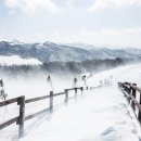 함께 뛰노는 스포츠 이미지