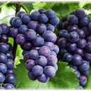 마곡베스트정형외과의원 이미지