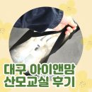 대구 아이앤맘 산모교실 참석 후기 / 휴대용 폴더침대 get🎁