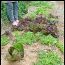 해바라기 어린이집 이미지