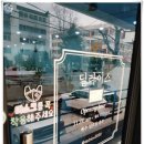 사파동121 이미지