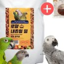 버드펠리스