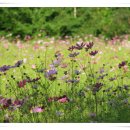 안동체육관 이미지