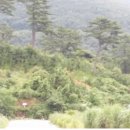 망치보건진료소 이미지