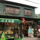 도그-in 하우스 이미지