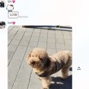 당구 하라 | [1월 3주차] 작은 틈을 내며