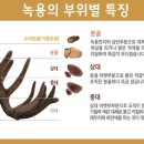 녹용명가