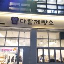 초지동 빵맛집, 다람제빵소 후기!(ft. 화이트롤)