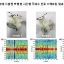 꽃향기화장품 - 남동구 장아산로 181 | 꽃향기화장품