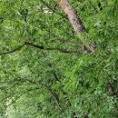 산성목장 이미지