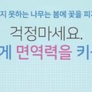 더클래스 태권도 이미지