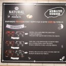 제주안방갈비 - 제주시 오남로 7-13 | 제주안방갈비