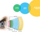 안단테 동물의료센터 이미지