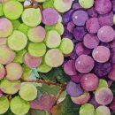 풀그리다 이미지