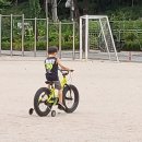 삼천리자전거 위례점 다섯살 남자아이 선물 추천 스마트 팻바이크