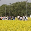 뚝섬한강공원-58 이미지