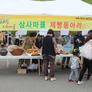 일원상사 이미지