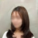 쥬니헤어 이미지
