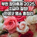 포엑스엘 커피(4XL COFFEE) | 부천 장미축제 2025 | 날짜, 가는길, 주차장, 근처 맛집 완벽 가이드