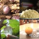 신원철농장 엑스포츠뉴스