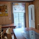 솔토장어 이미지