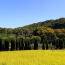왕축농원 이미지