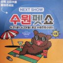 레인캔넬 | 우노펫 강아지 유모차 2주 사용 후기 in 서울펫쇼