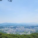 육마루 이미지