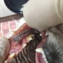 모현동물병원 이미지