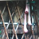 중부야채 이미지