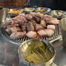 제주꾸숑 이미지