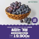 (주)거봉 - 769 | (주)거봉