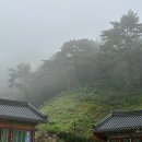 스테이커피 기안점 | <강릉 보현사> 첫 템플스테이 후기