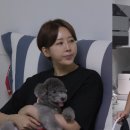 용신43 이미지