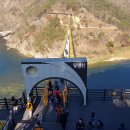 금산수삼센타 이미지