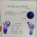 산골초가펜션 이미지