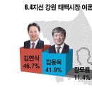 태백시장 이미지