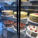 (주)딥크로스 | 먹고 뛰고 노는 2월 일상, 🏃🏻‍♀️