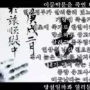 중앙 타이거즈 합기도 이미지