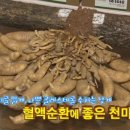 건강스킨앤바디