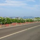 버스정류장 06-225 이미지