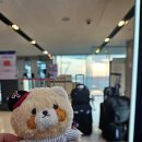 24시얼큰시원생고기김치찌개노형점 | 20241227 틈새 제주여행, 에어부산, 24시 얼큰생고기 김치찌개, 제주 오리엔탈 호텔